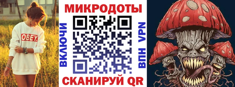где купить наркоту  Родники  Галлюциногенные грибы Psilocybe 